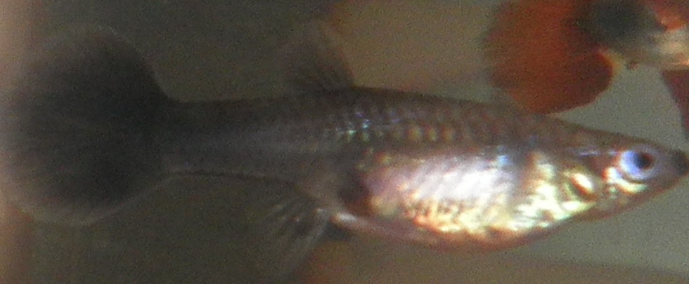 P1010021.JPG