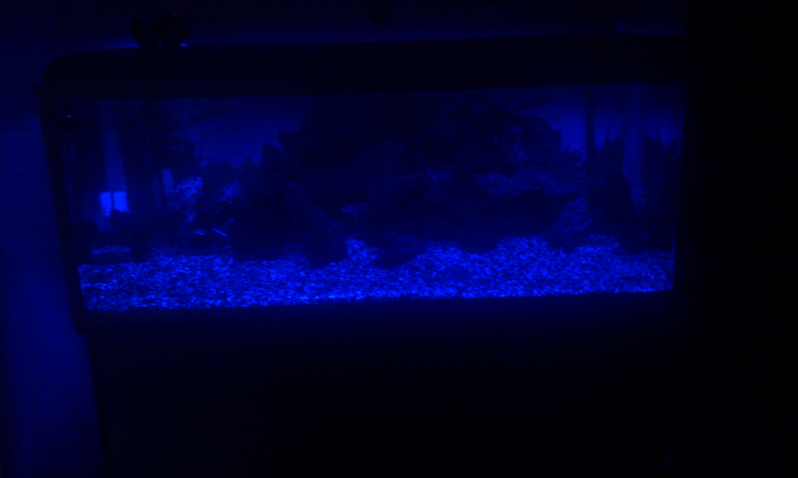 IMAG0092.jpg