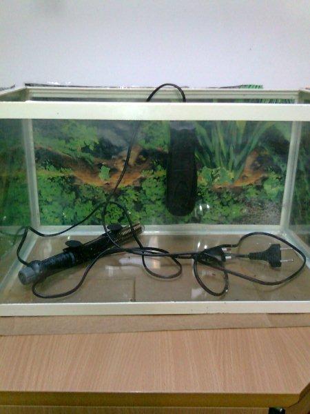 Mynd0056 (2).jpg